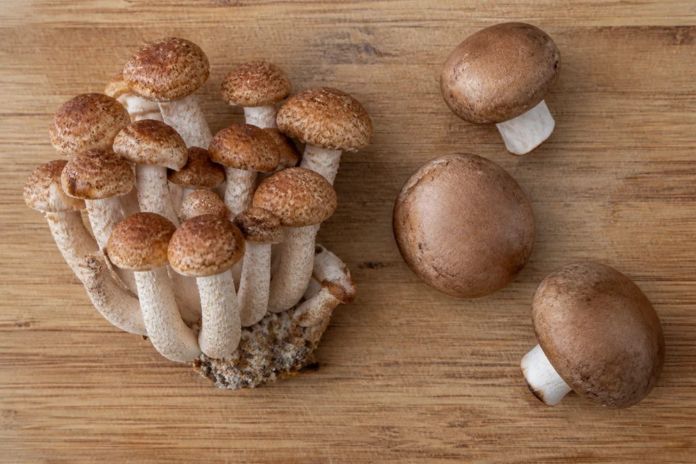 A cluster of scaly cinnamon-capped chestnut mushrooms beside three loose smooth brown cremini on a wooden board
