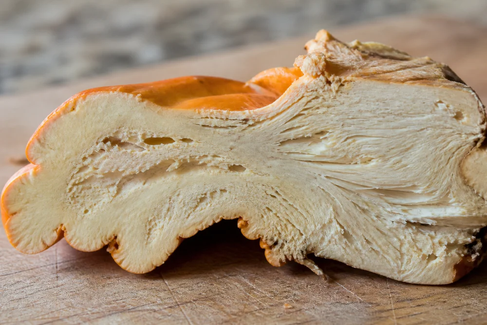 A wedge of chicken of the woods cut through on a board showing the tender outer margin against the tough fibrous inner flesh nearer the attachment point