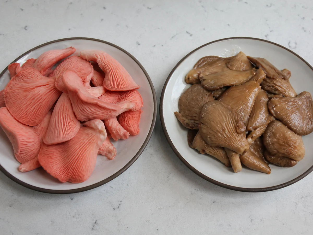 Two small plates side by side on a pale counter, the left holding raw bright pink oyster mushroom pieces and the right holding the same mushrooms cooked and uniformly brown