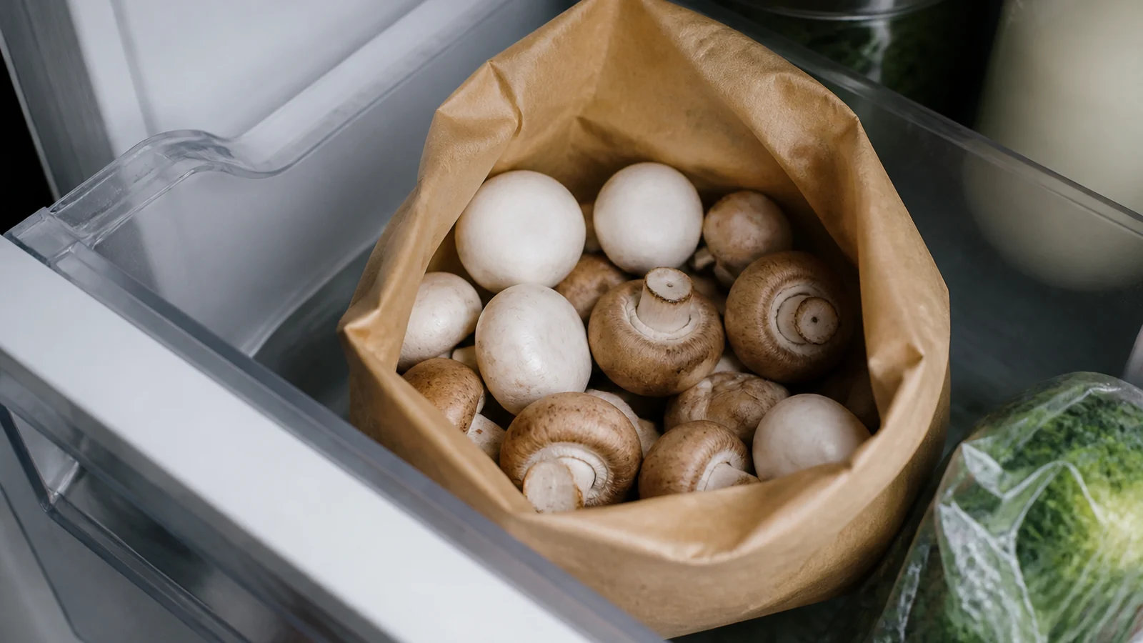 An open refrigerator drawer holding an open brown paper bag of fresh button and cremini mushrooms with dry firm caps