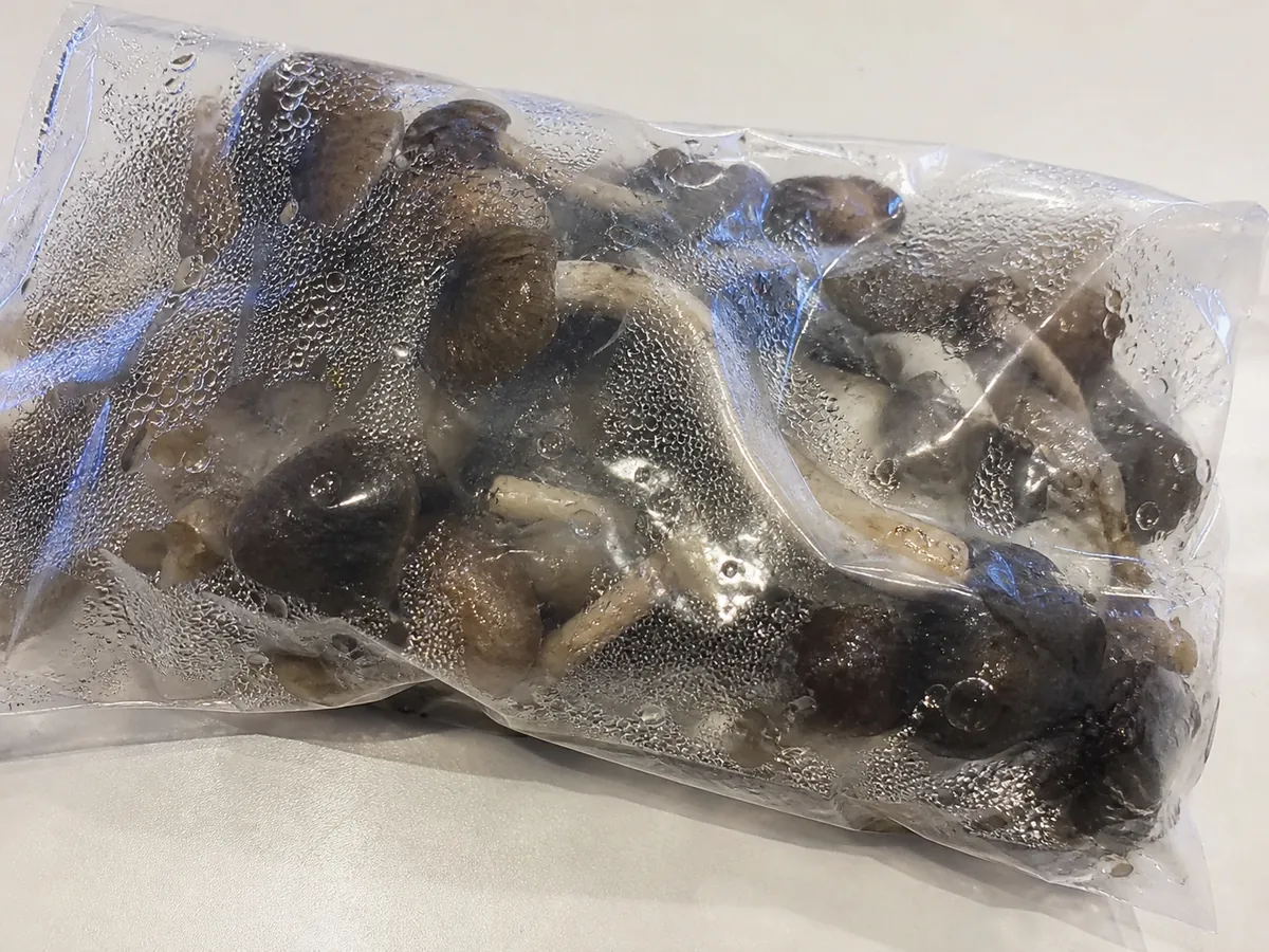 Mushrooms gone slimy inside a sealed clear plastic bag with heavy condensation on the inside of the plastic