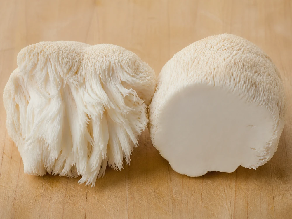 Torn lion's mane beside a slab with a smooth cut face on a wooden board
