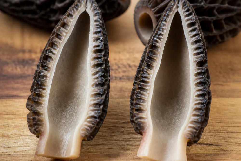 Black morel mushrooms sliced in half lengthwise on a board showing the completely hollow interior running from cap to stem
