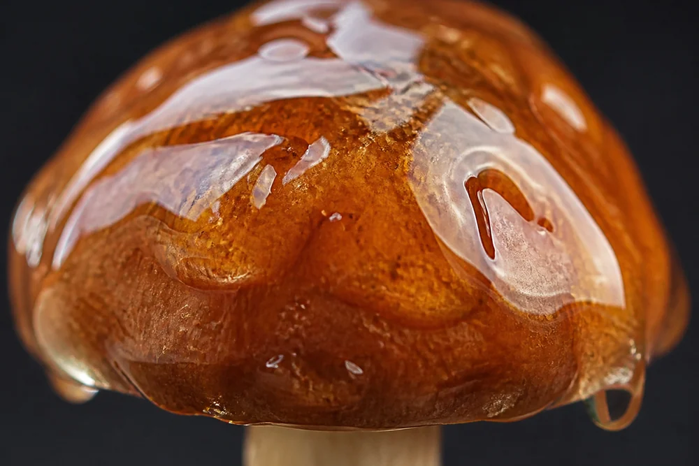 Extreme macro of a nameko mushroom cap showing the thick clear gelatinous coating catching the light