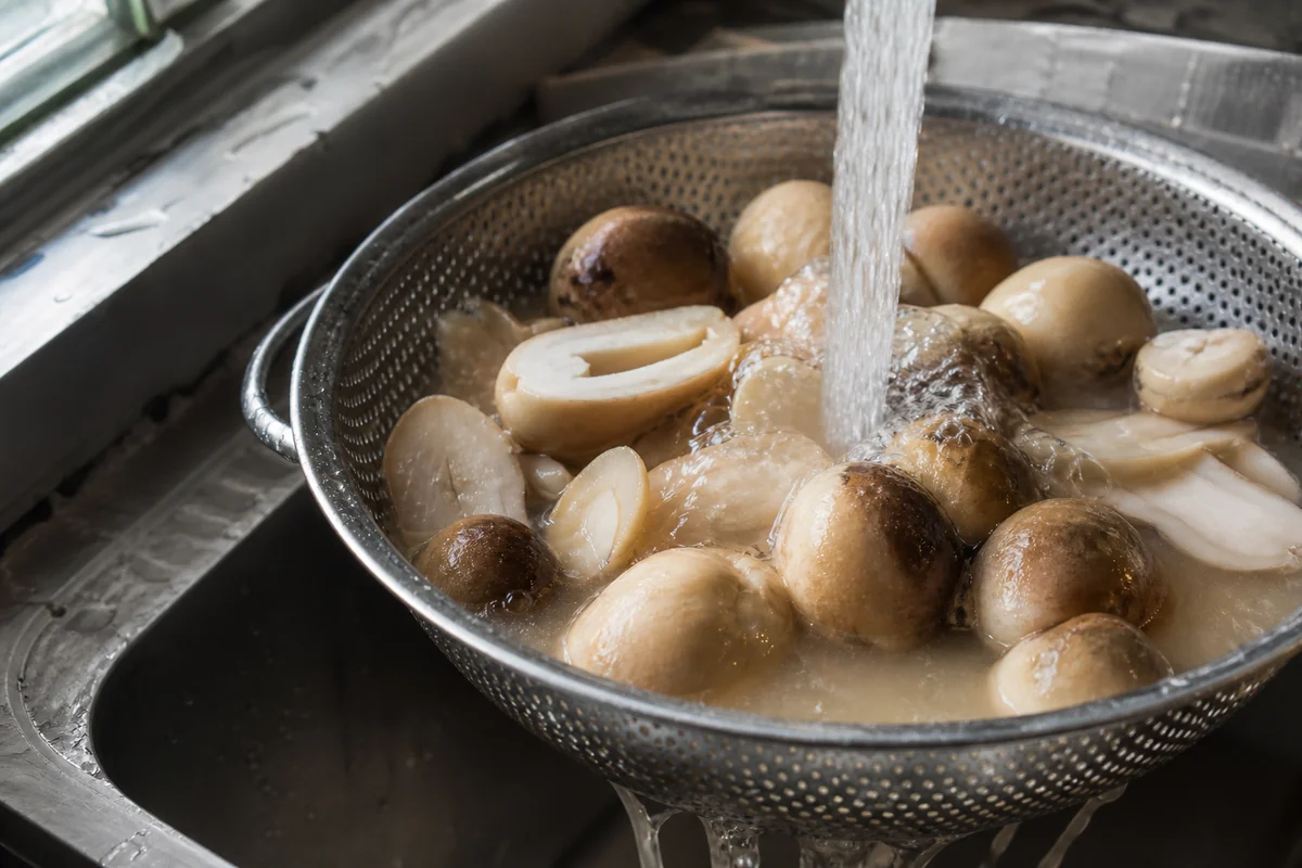 Canned straw mushrooms in a colander under running water with the brine draining away