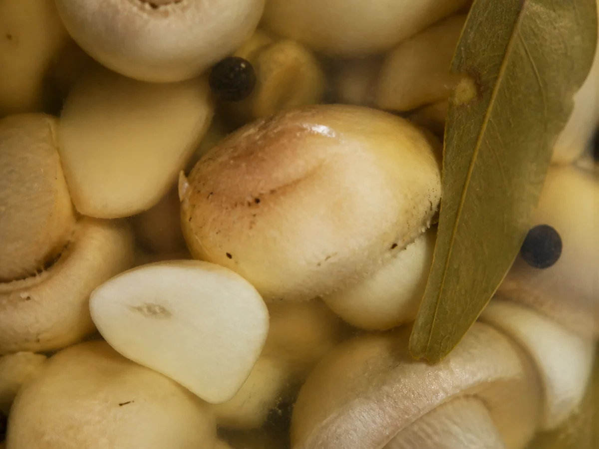 Close-up through glass of pickled mushrooms suspended in clear brine with peppercorns and a bay leaf