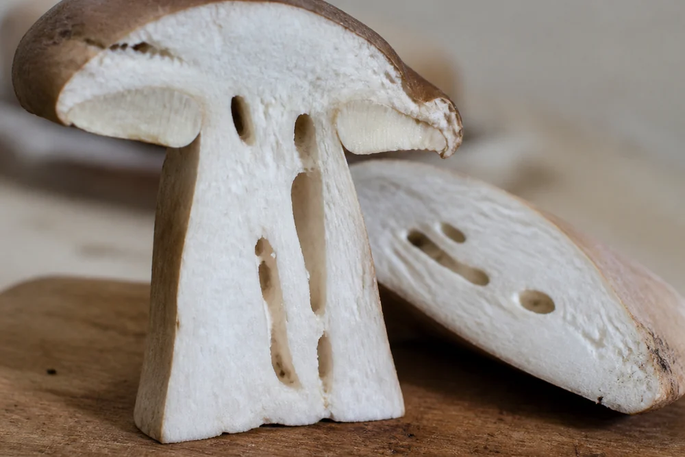 A porcini cut open on a board revealing small insect tunnels running through the stem flesh