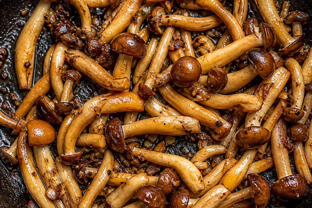 Shimeji mushrooms browning in a hot skillet, well colored and glossy after several minutes of cooking