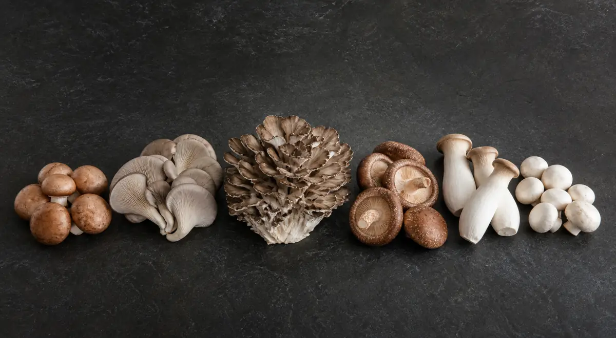 Cremini, oyster, maitake, shiitake, king oyster, and white button mushrooms arranged in six distinct groups
