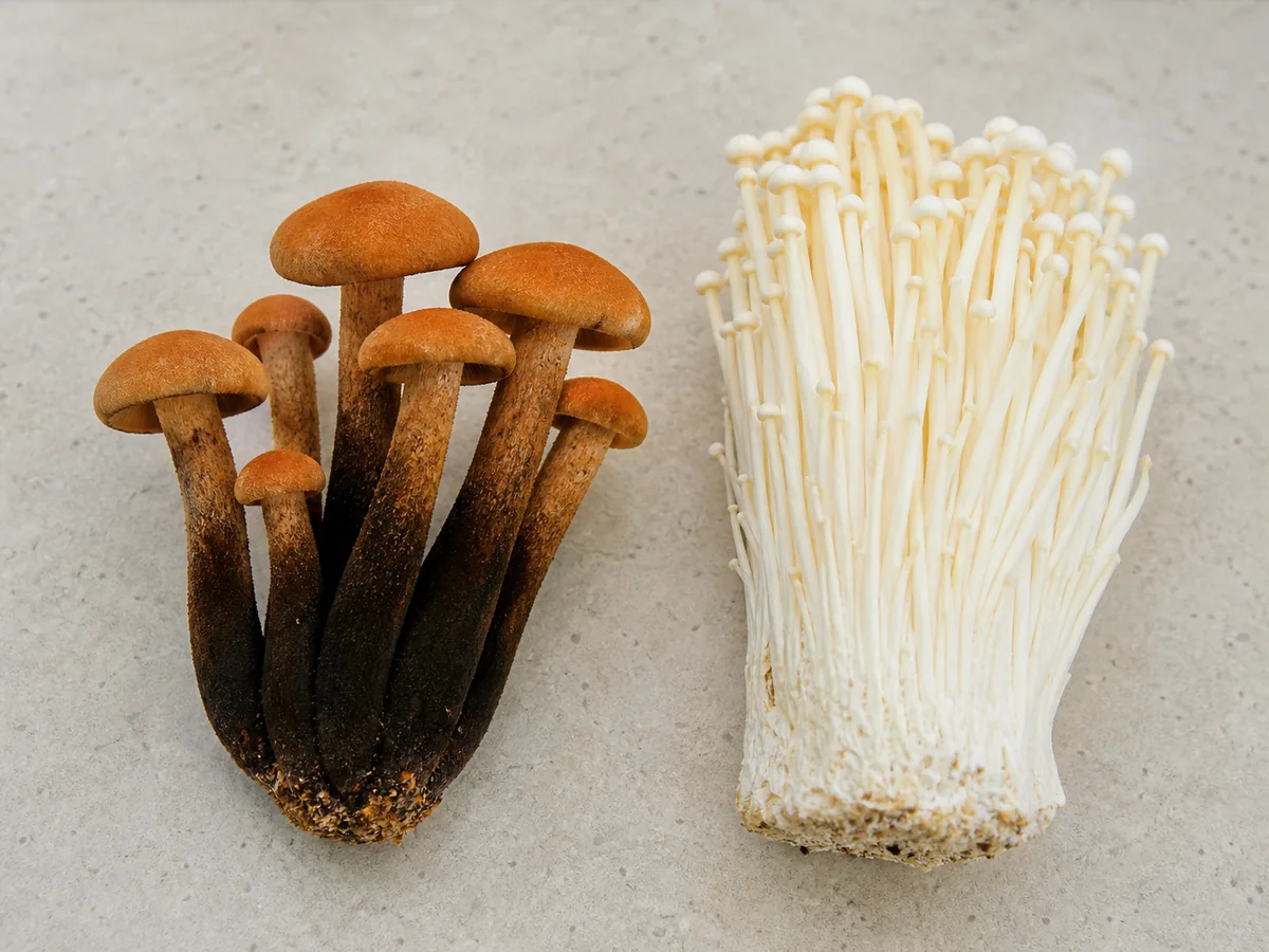 Verified wild velvet shank with orange-brown caps and dark stem bases beside a pale cultivated enoki cluster