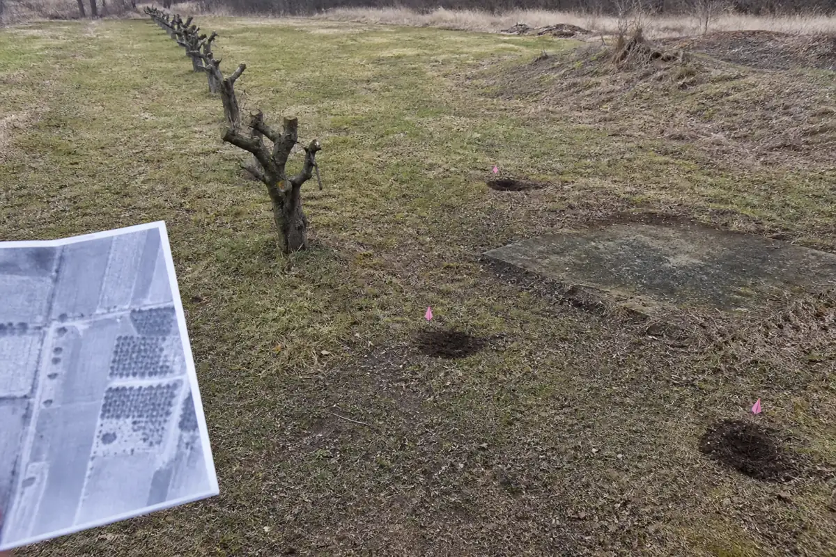Old apple row aligned with a historic aerial map, former shed area, and labeled soil-sampling points