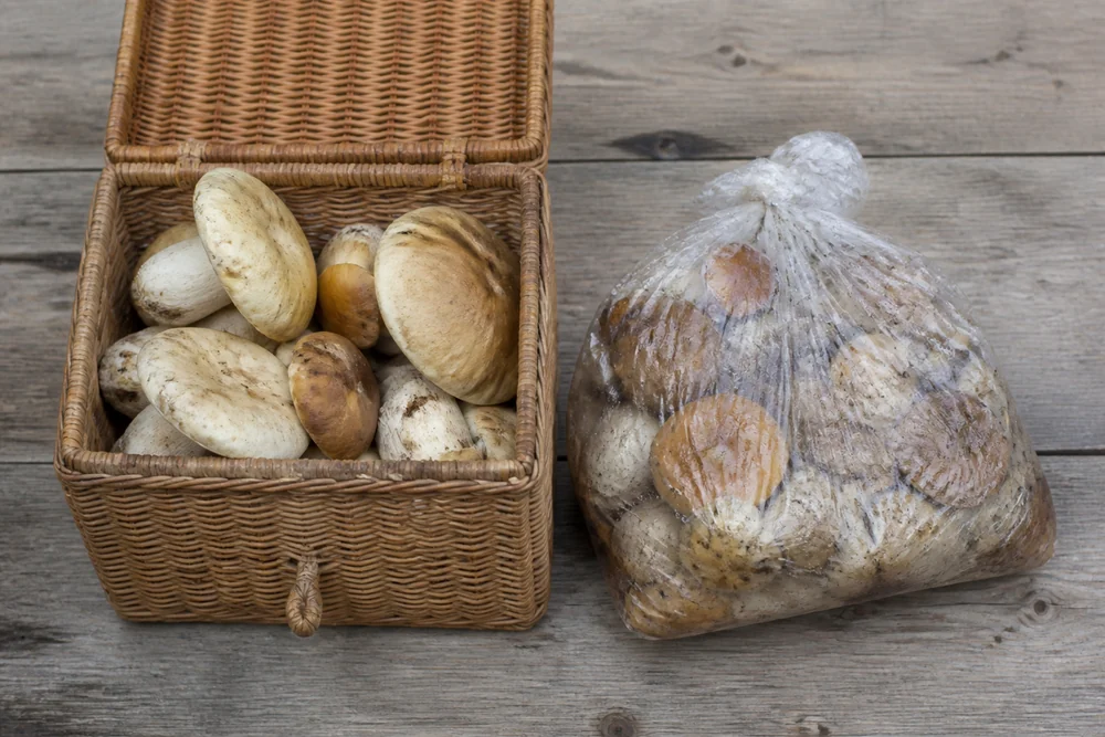 An open wicker basket of wild mushrooms on a table beside a slumped plastic carrier bag holding the same species, the inside of the bag visibly wet