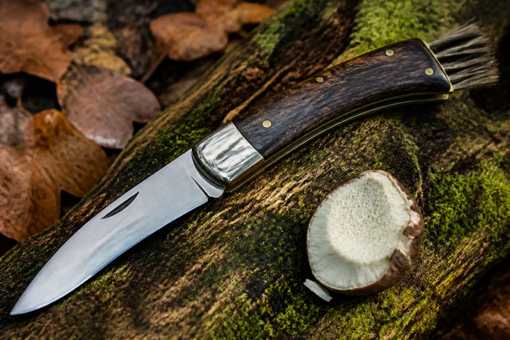 A hand with a small curved knife cutting a bolete at the stem base in deep leaf litter