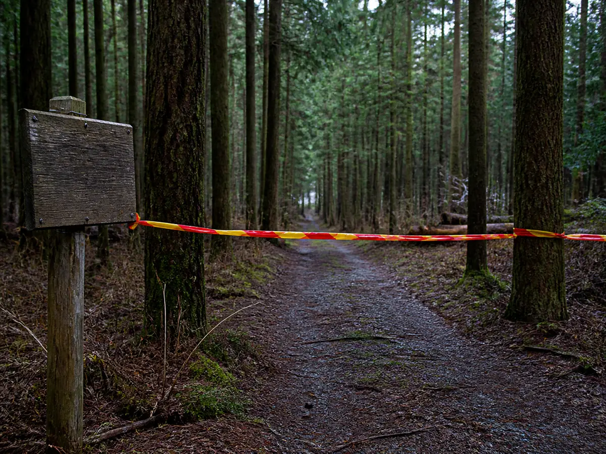 Colored tape and a wooden no-entry notice closing a forest track in a Japanese mountain woodland