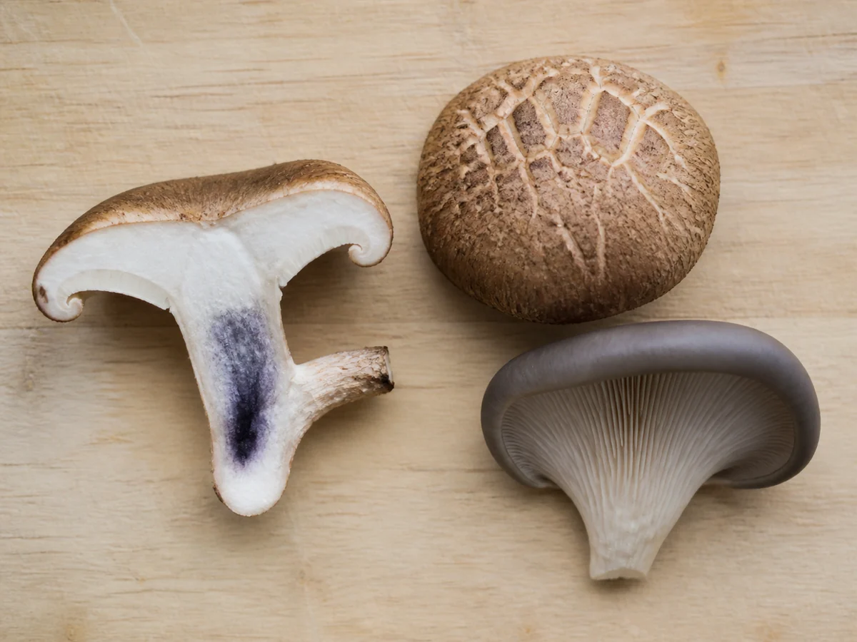 Split tsukiyotake showing dark stain at the stem base beside an intact shiitake and oyster mushroom