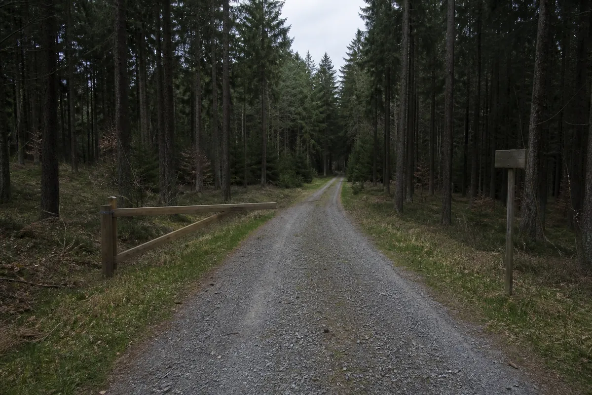 A gravel forest road running through managed German woodland with a wooden barrier gate standing open at the side and a small sign on a post