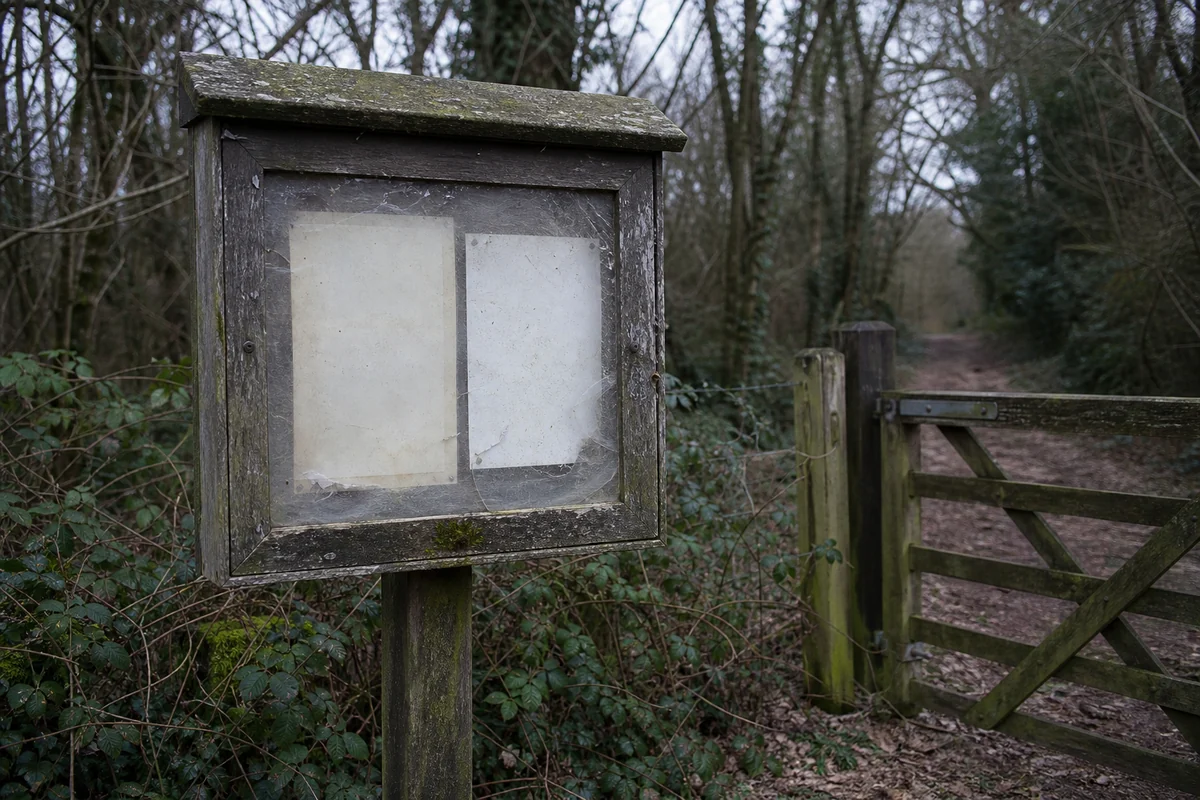 A weathered wooden notice board on a post at the entrance to an English wood, notices behind cracked perspex, with a footpath gate and brambles beside it