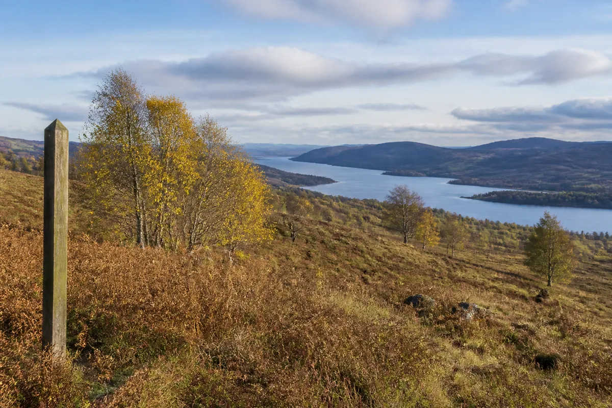 A wide open Scottish hillside of scattered birch and bracken in autumn with a loch and low hills behind and a small wooden waymarker post at the left edge