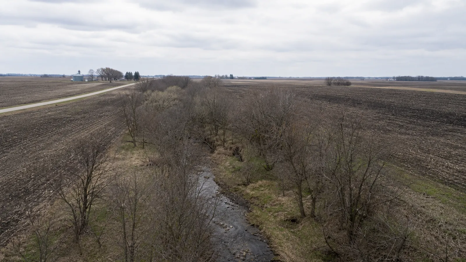 When Is Morel Season in Iowa? Soil at 53 Degrees