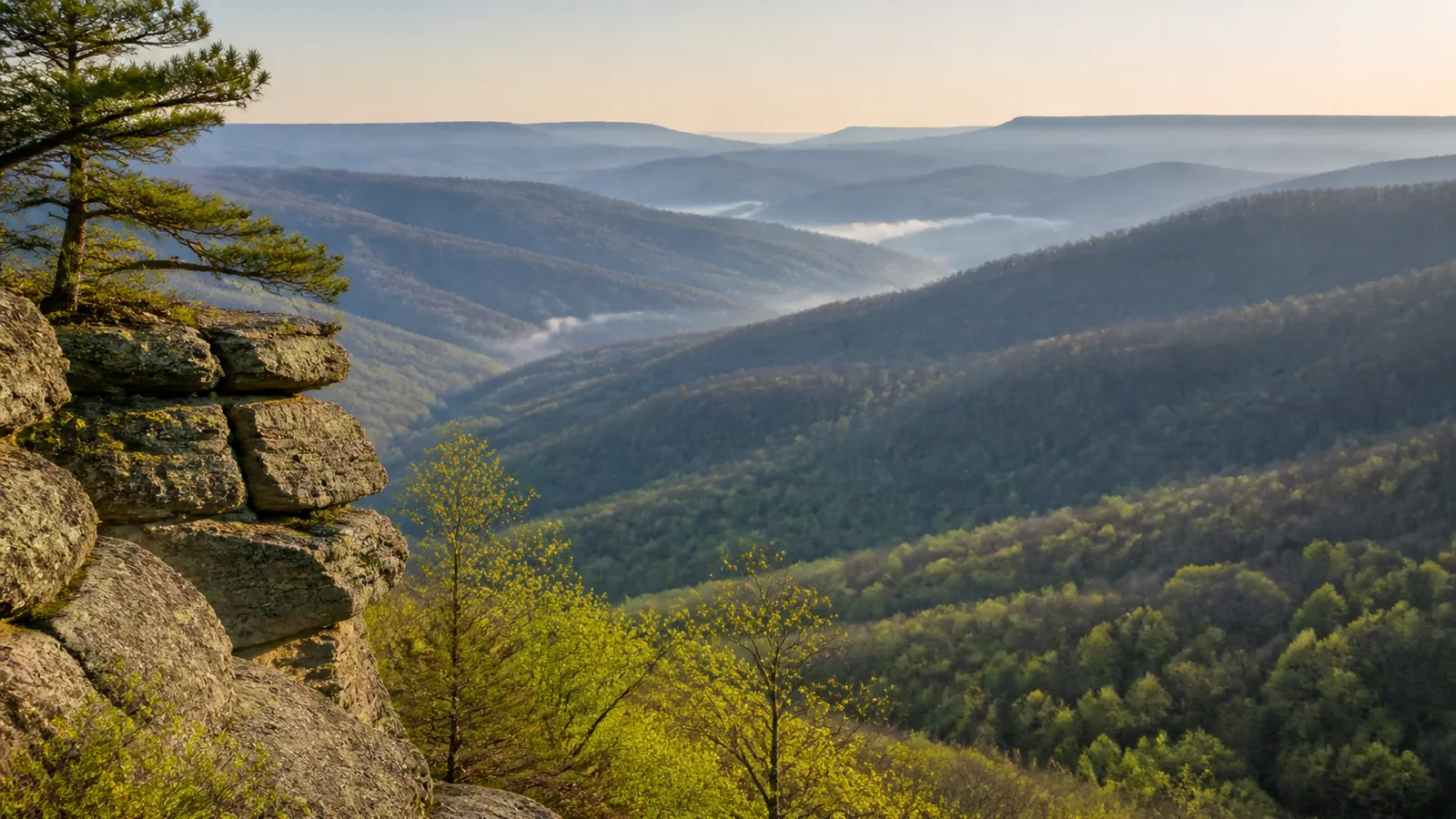 When Is Morel Season in Kentucky? It Starts Low and Climbs