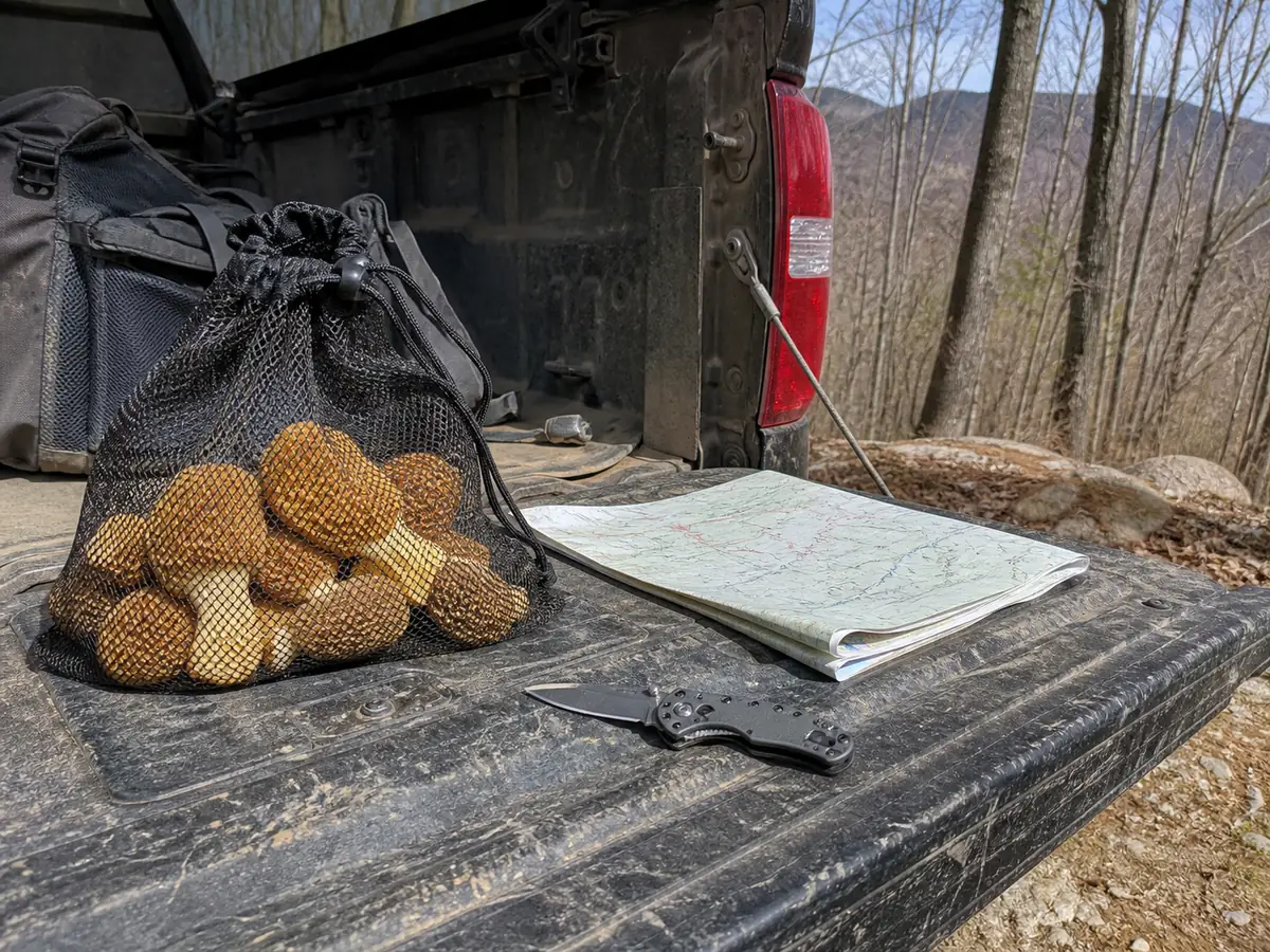 An open tailgate of a dusty pickup at a Blue Ridge trailhead with a one gallon mesh bag of yellow morels, a folded paper map and a small folding knife beside it