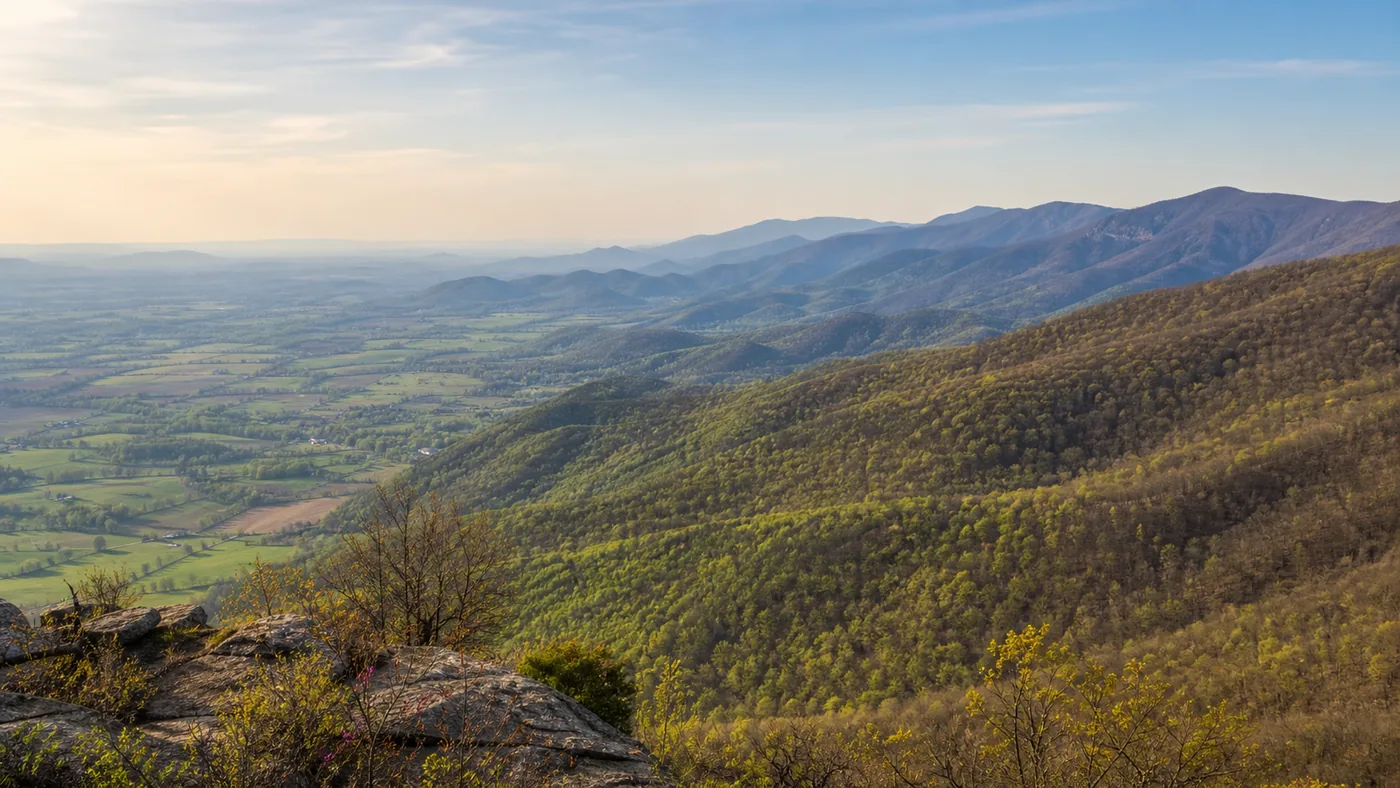 When Is Morel Season in Virginia? Three Weeks, Moving West