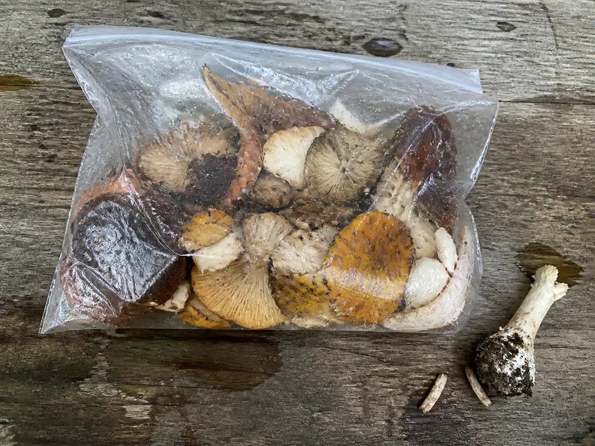Crushed mixed mushrooms and a discarded stem base inside a sealed plastic bag