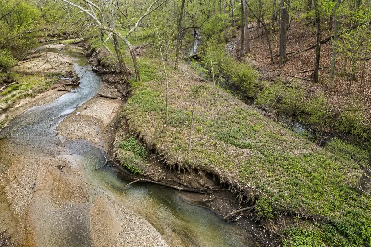 Sycamore creek bend divided into active channel, low bench, overflow swale, and upper terrace