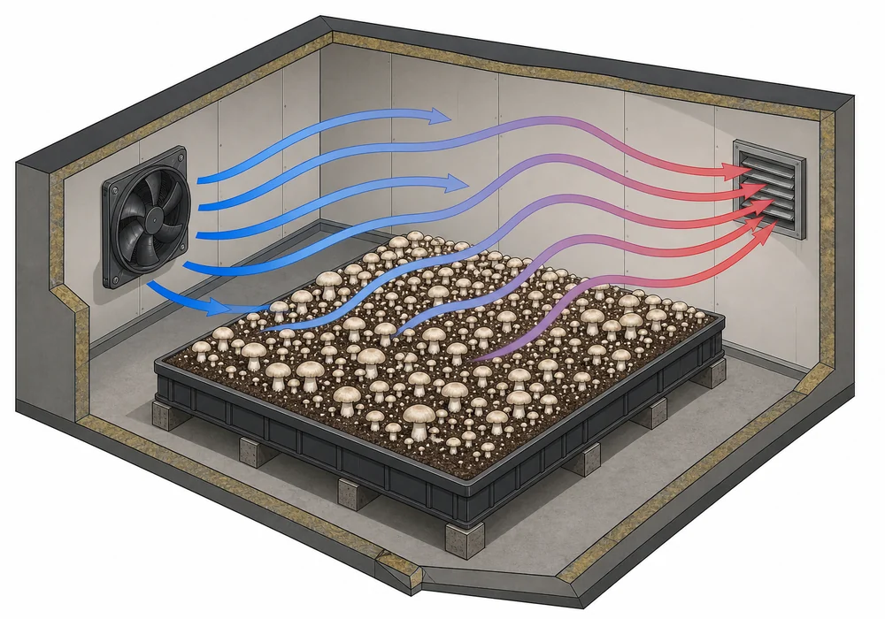 An isometric cross-section diagram of a grow room showing a wall fan, colored arrows tracing air across a fruiting bed and out through a ceiling vent