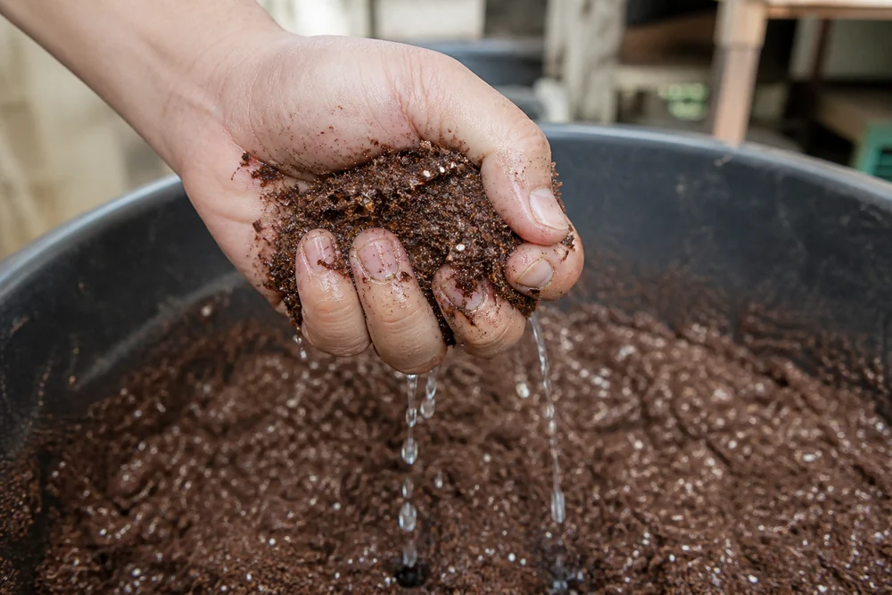 A bare hand squeezing a fistful of dark brown coir and vermiculite over a mixing tub with a few drops of water running from between the fingers