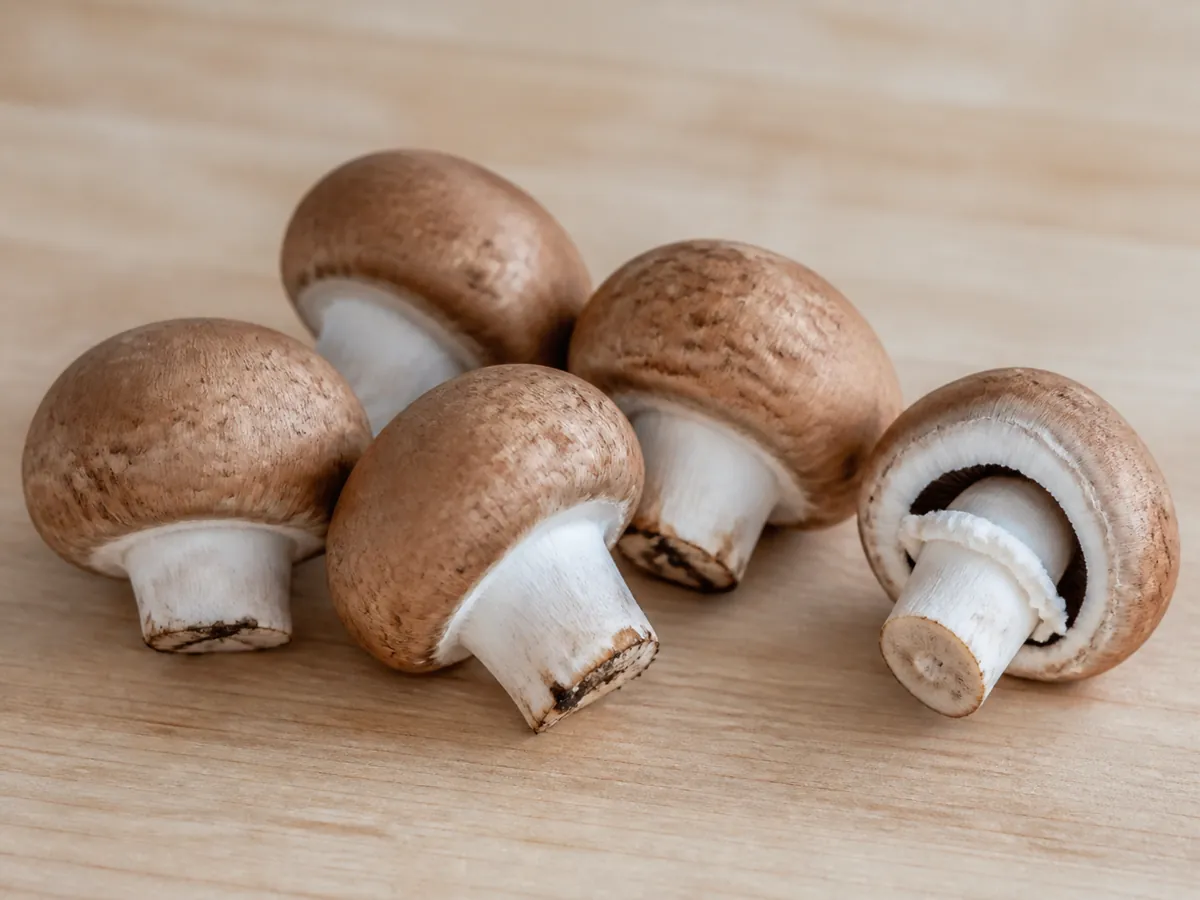 Firm brown cremini mushrooms with intact veils beside one opening cap