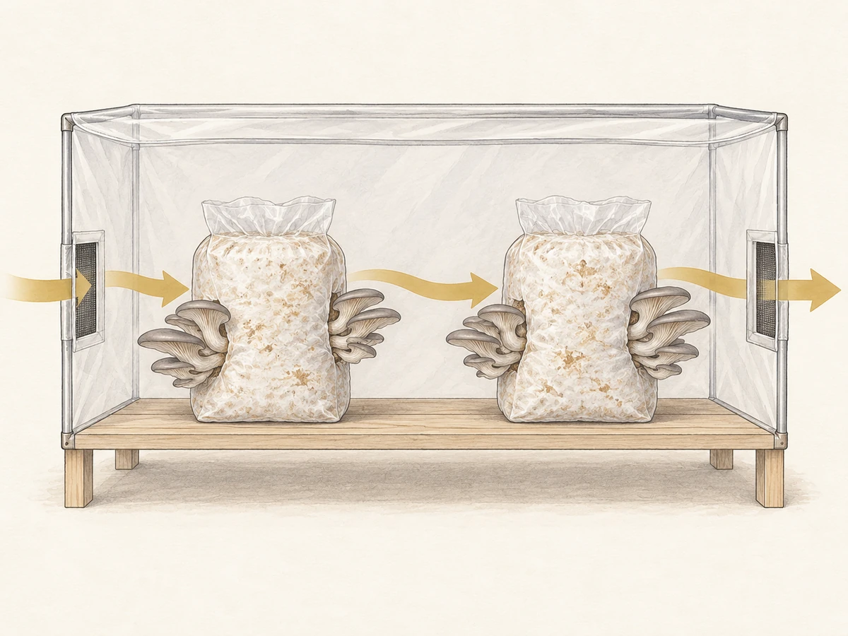 Cutaway of spaced bagged oyster blocks with arrows showing incoming air, circulation around the crop and an outlet