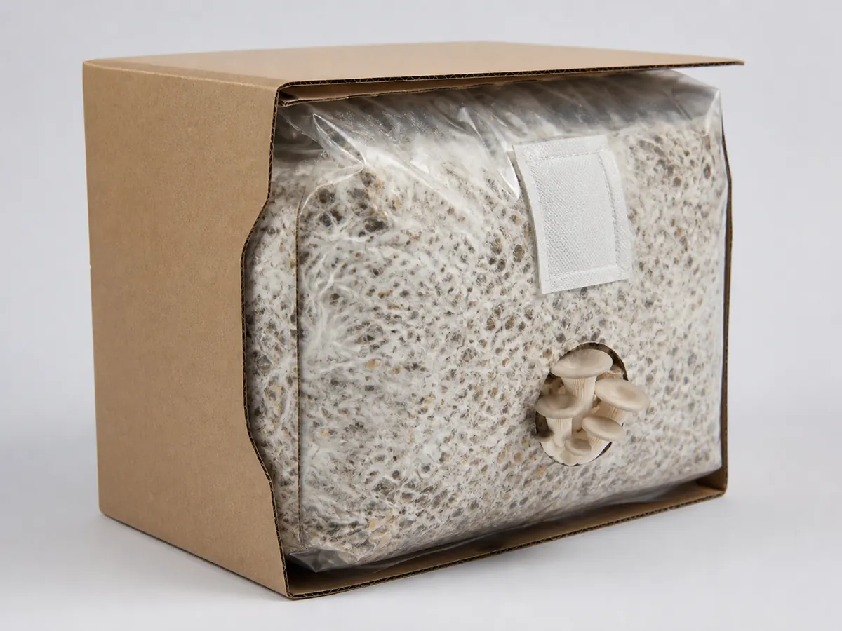 Cutaway of a colonized mushroom grow kit showing substrate, filter, bag, and fruiting opening