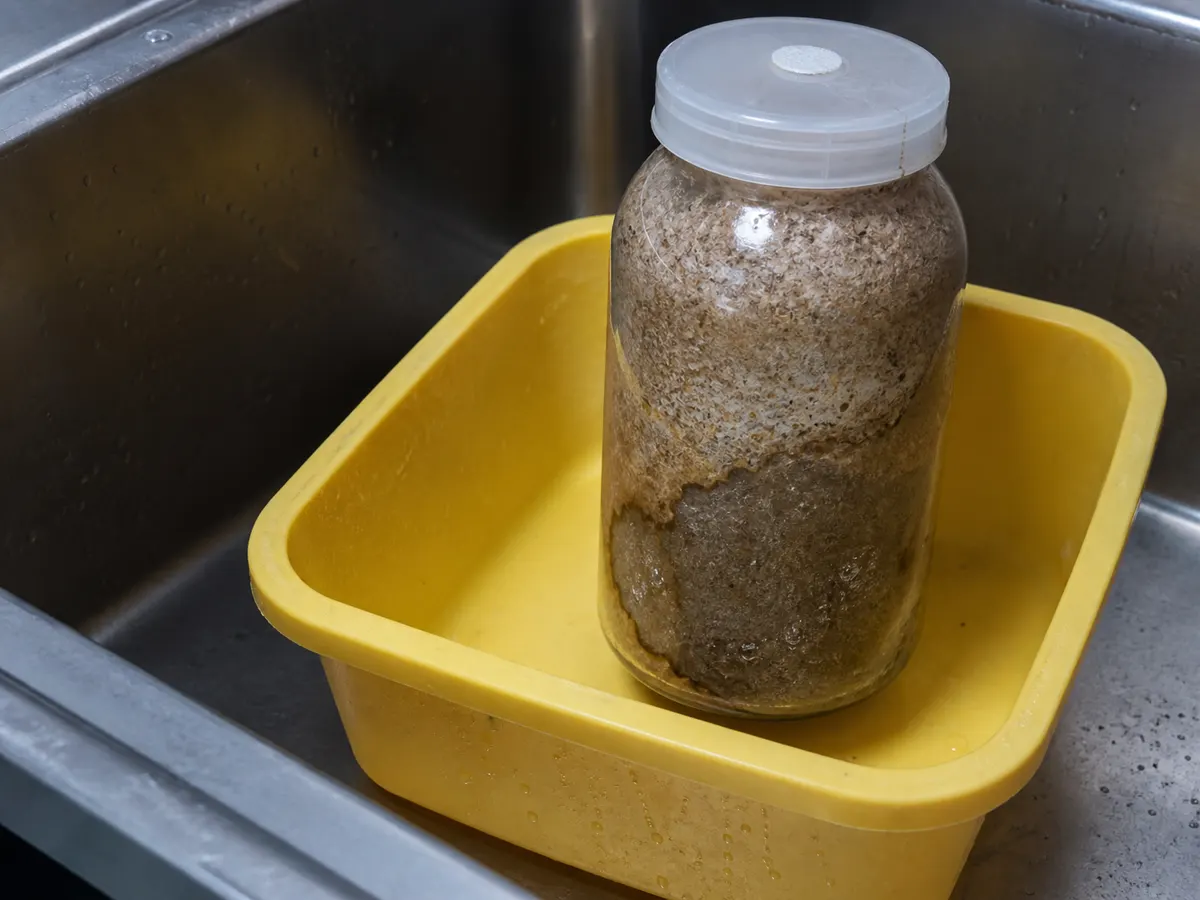 Sealed Nameko bottle with a wet collapsed substrate pocket in a quarantine tub