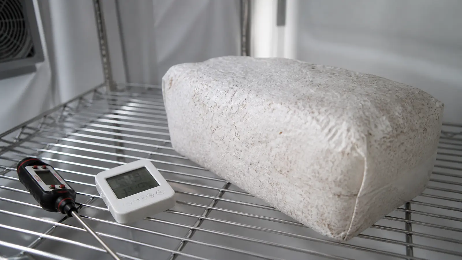 Why Is Fully Colonized Mushroom Substrate Not Fruiting?