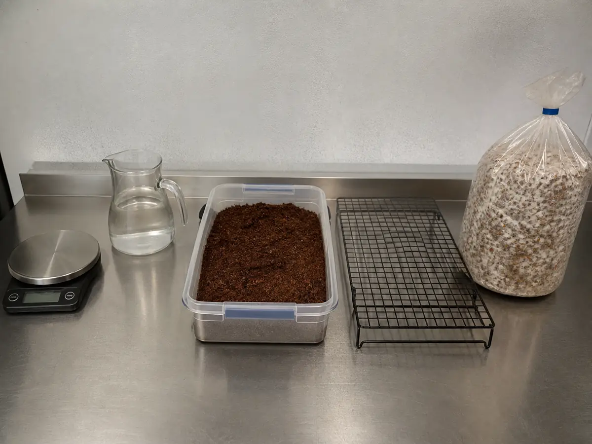 Scale, measured water, drained substrate, protected cooling rack, and clean spawn on a workbench