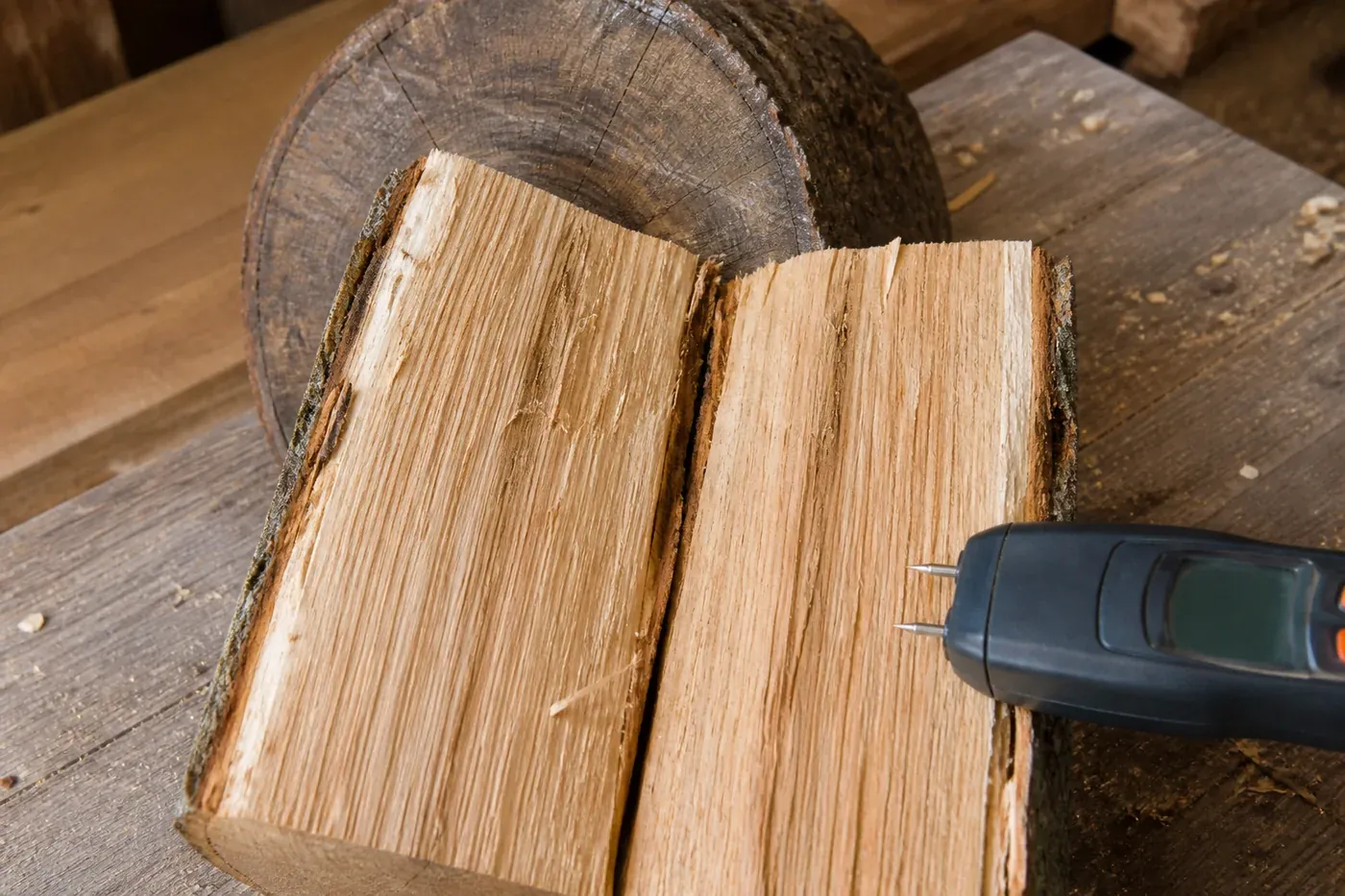 A firewood round split open immediately before testing, with meter pins placed across the grain on the fresh interior rather than the weathered end