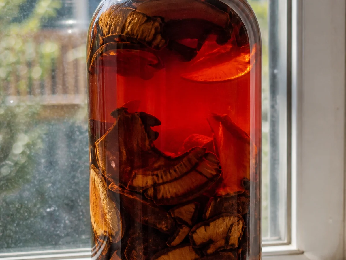 Tall sealed glass jar of dark amber mushroom tincture with woody slices suspended inside on a windowsill
