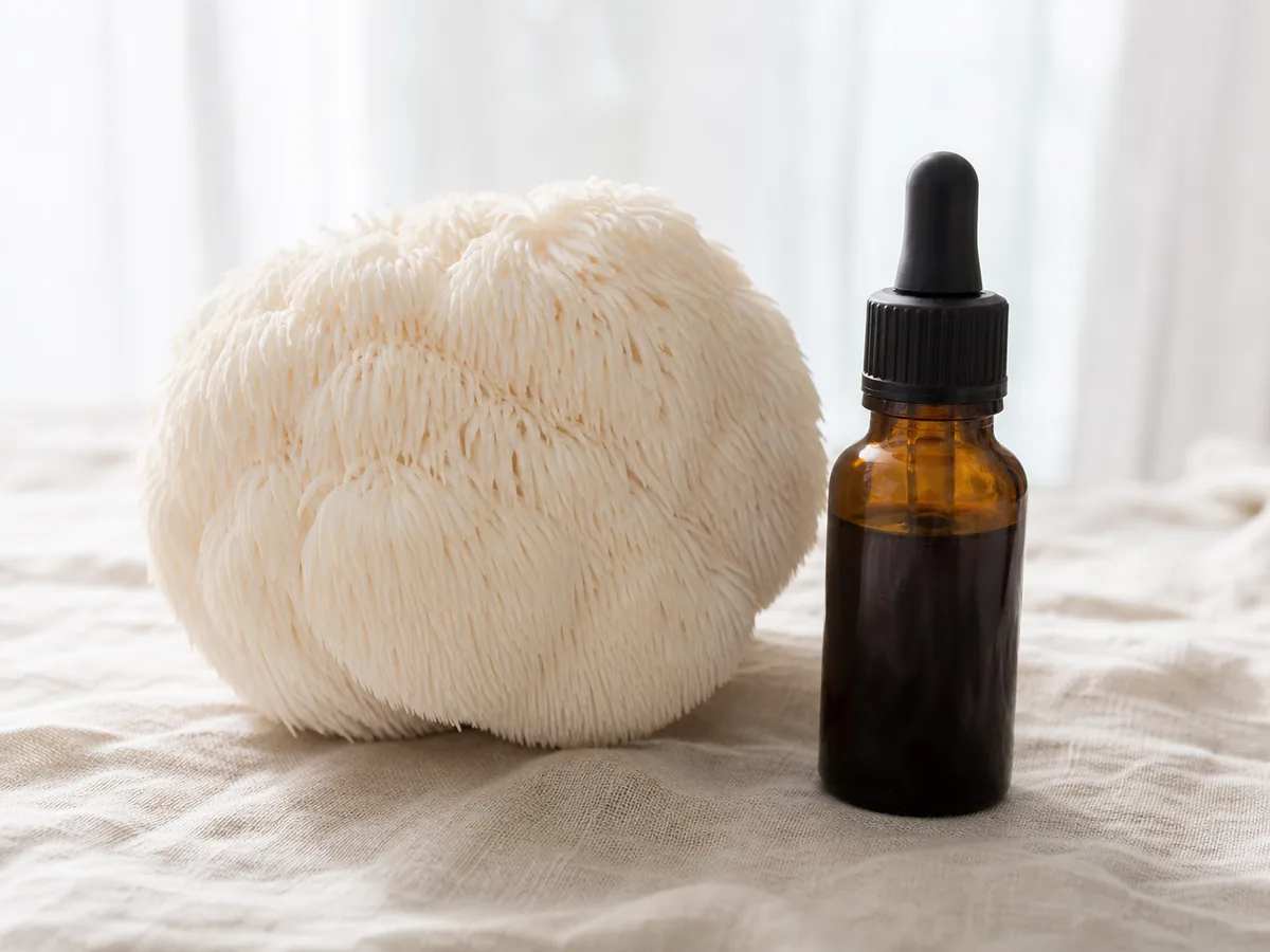 A fresh white lion's mane mushroom beside a small amber dropper bottle of dark liquid extract on pale linen