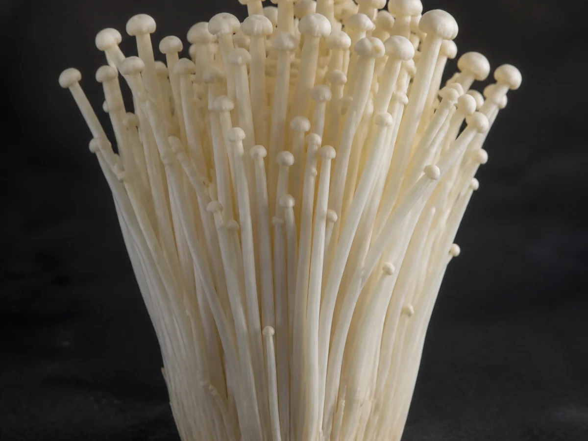 Dense cluster of fresh enoki mushrooms with long slender white stems and small pale caps standing upright on a dark surface