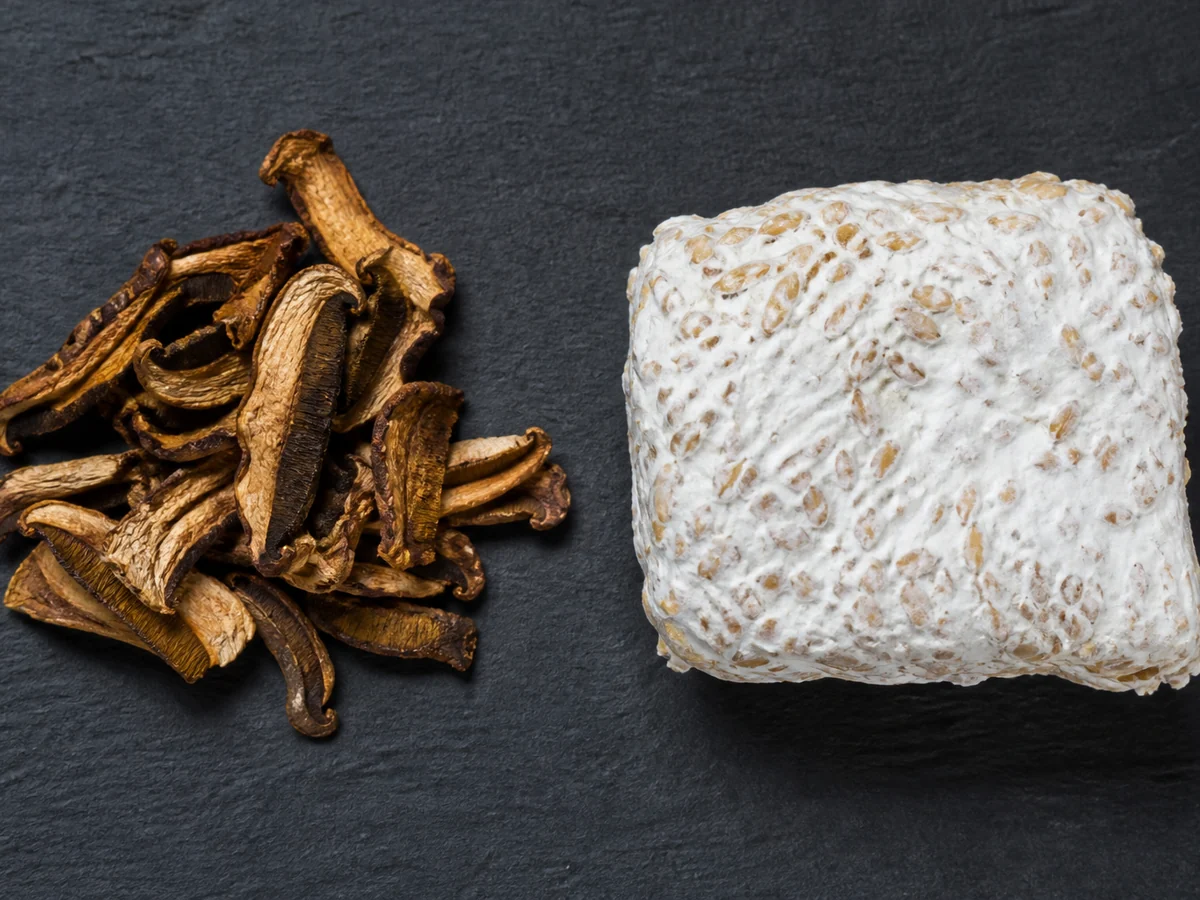 Dried mushroom cap slices beside a block of white mycelium with cereal grains visible in it