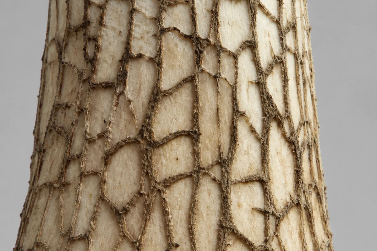 The upper part of a bolete stem showing a coarse raised dark brown net pattern standing out clearly against the pale stem surface