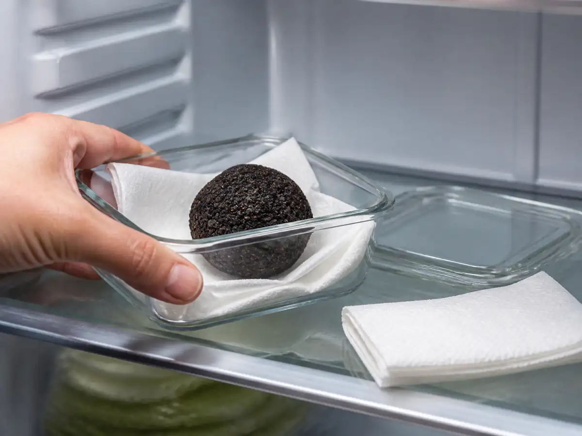 Fresh black truffle on dry paper in a glass refrigerator container