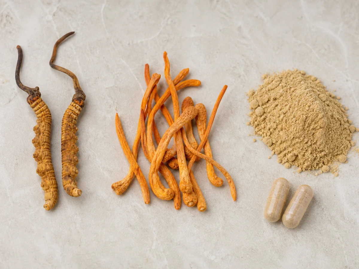 Three piles side by side, dried caterpillar fungus specimens, dried orange cordyceps militaris clubs, and pale powder with capsules