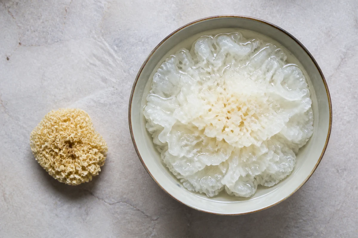 A dried cream colored jelly fungus cluster shrunk into a hard crinkled ball beside a bowl of the same fungus rehydrated into a large soft white frilled rosette