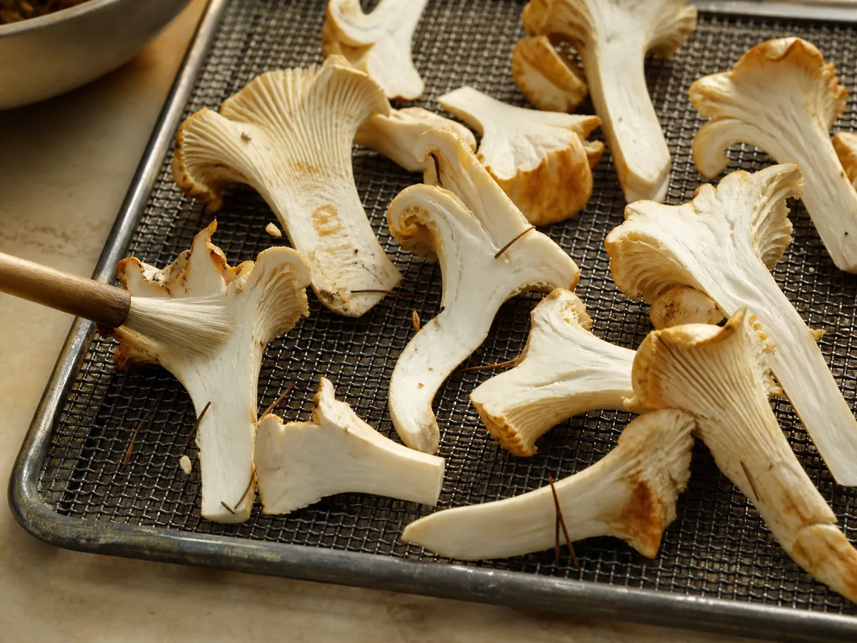 Split white chanterelles being brushed over a mesh tray with forest grit visible in the folds