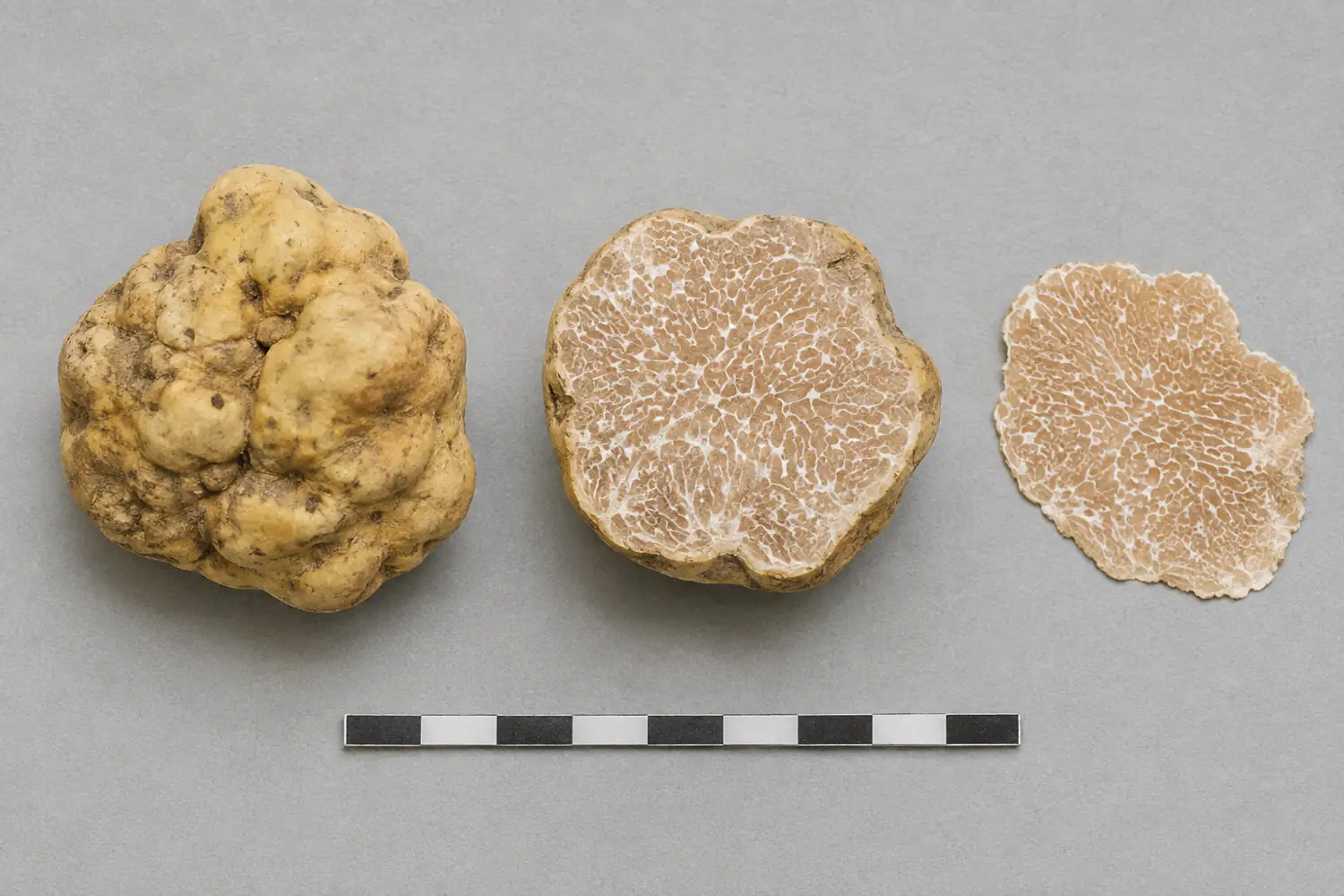 Whole Italian white truffle, clean half, thin slice, and scale
