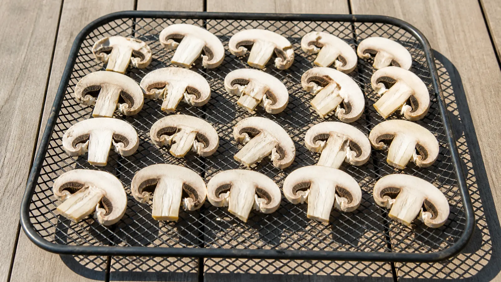 Sliced white mushrooms laid gill side up on a wire tray outdoors in bright direct sunlight