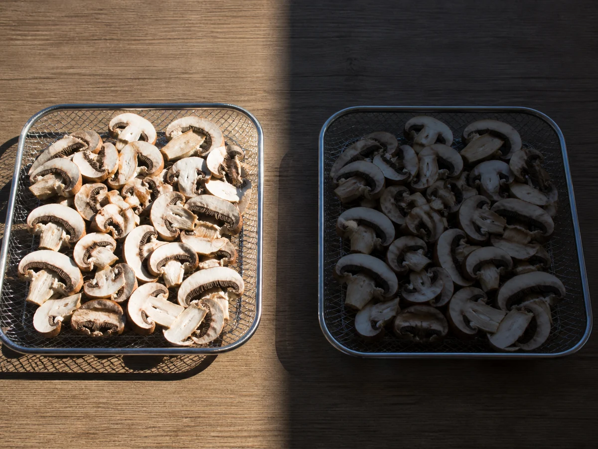Two identical trays of sliced mushrooms side by side, the left in bright direct sunlight and the right in deep shade