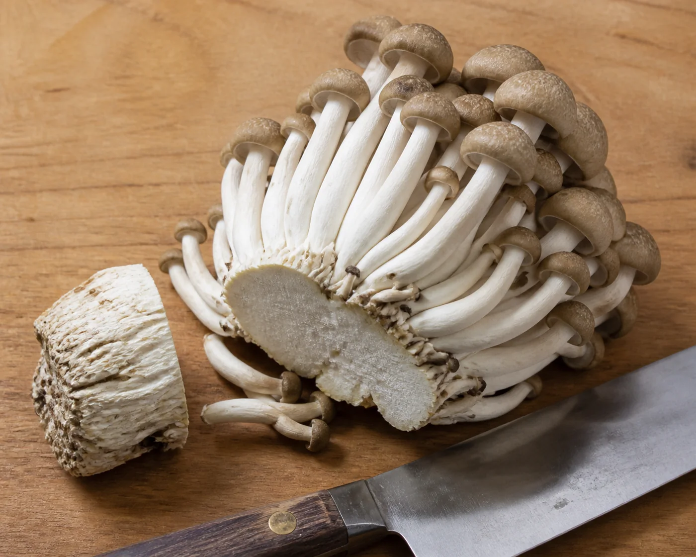 A beech cluster on a wooden board with the dense fused base cut away and lying to one side, the freed mushrooms fanning out from the cut